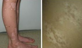 ����ĳ�����������Щ